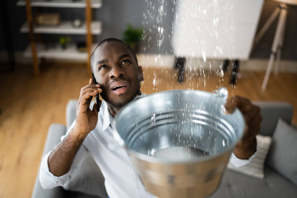 Best Basement water damage restoration  in Tama, IA
