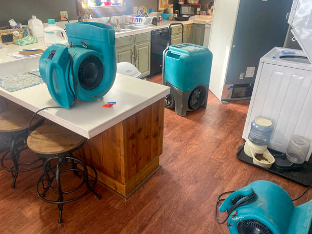 Best Mold removal after water damage  in Tama, IA