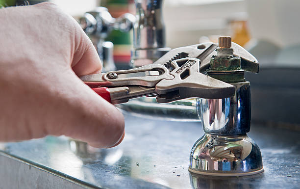Best Professional water damage repair  in Tama, IA