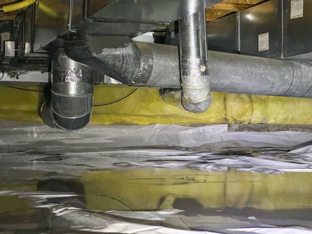 Best Water damage restoration experts  in Tama, IA