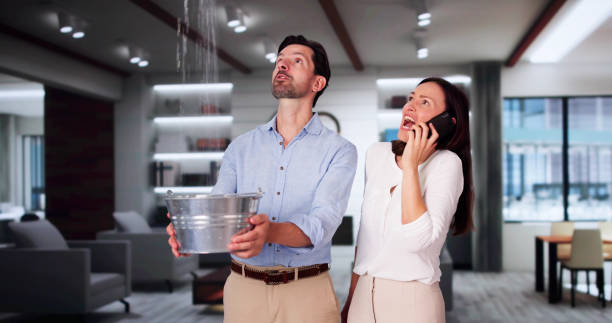 Trusted Tama, IA Water damage restoration Experts